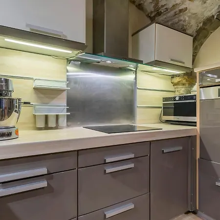 Apartment Le Loft Du Vieux Lyon