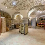Le Loft Du Vieux *