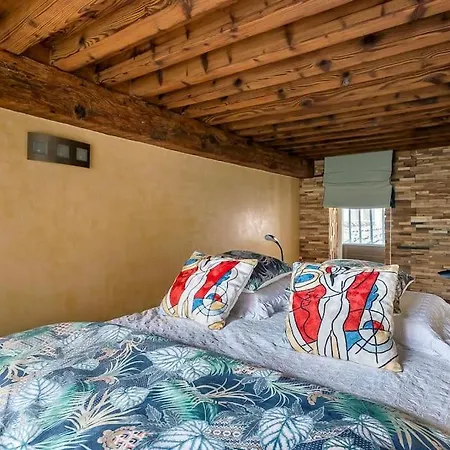 Le Loft Du Vieux Apartamento *