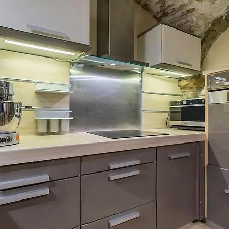 Apartamento Le Loft Du Vieux *